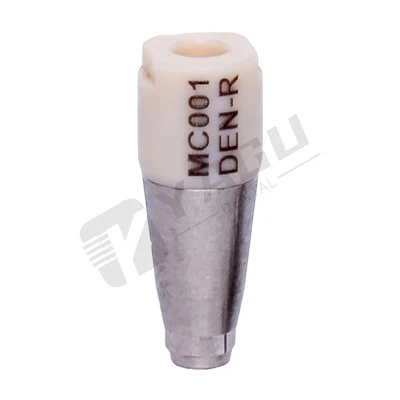 Dentium Peek ScanBody